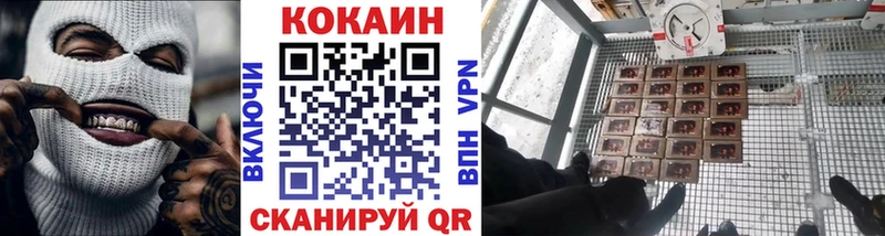 купить наркотики цена  Мосальск  COCAIN Эквадор 