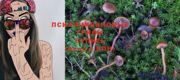 марки lsd Лагань