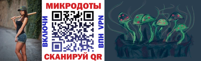 как найти   Мосальск  Галлюциногенные грибы Cubensis 